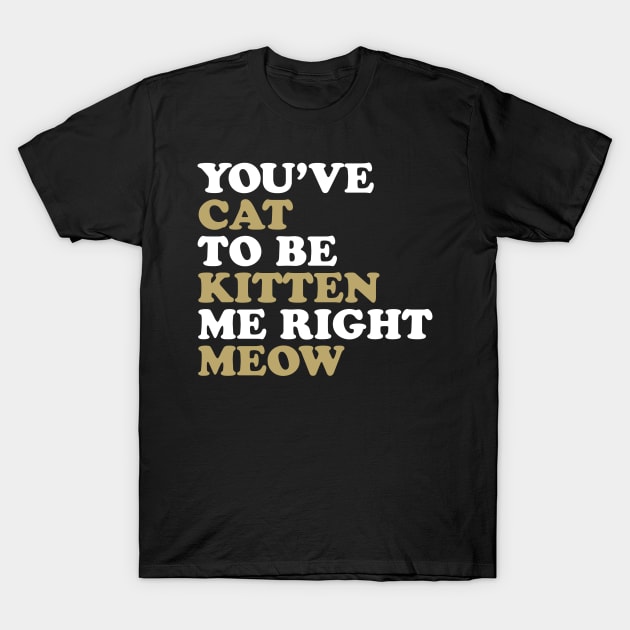 You've Cat to be Kitten me Right Meow T-Shirt by nickbuccelli